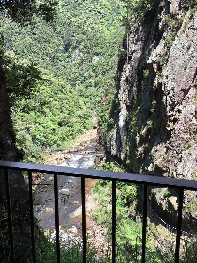 Birds Eye View Bed And Breakfast Waihi Exterior photo